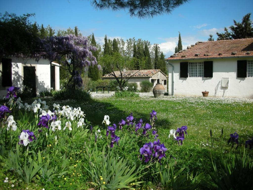 Vignagrande Agriturismo 사투르니아 객실 사진
