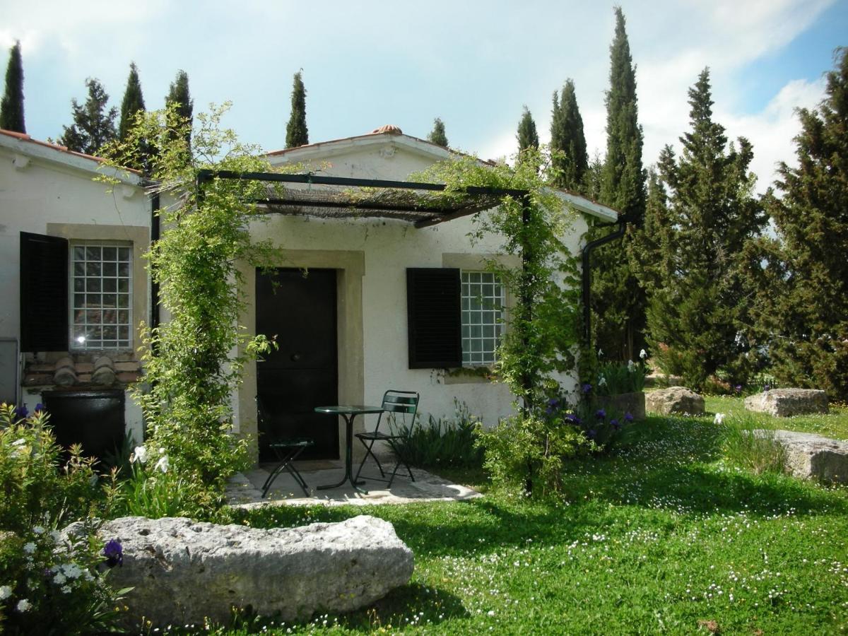Vignagrande Agriturismo 사투르니아 외부 사진