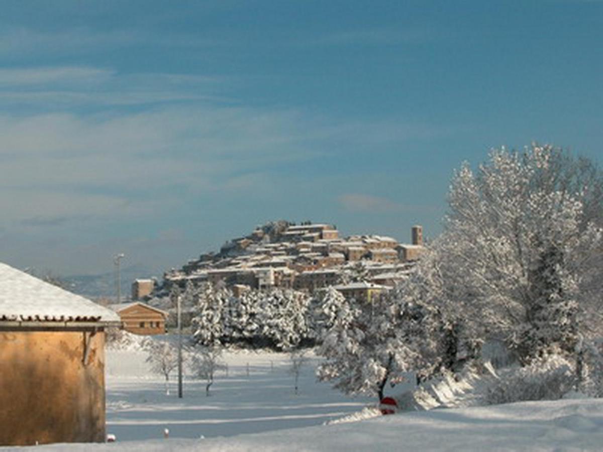 Vignagrande Agriturismo 사투르니아 객실 사진
